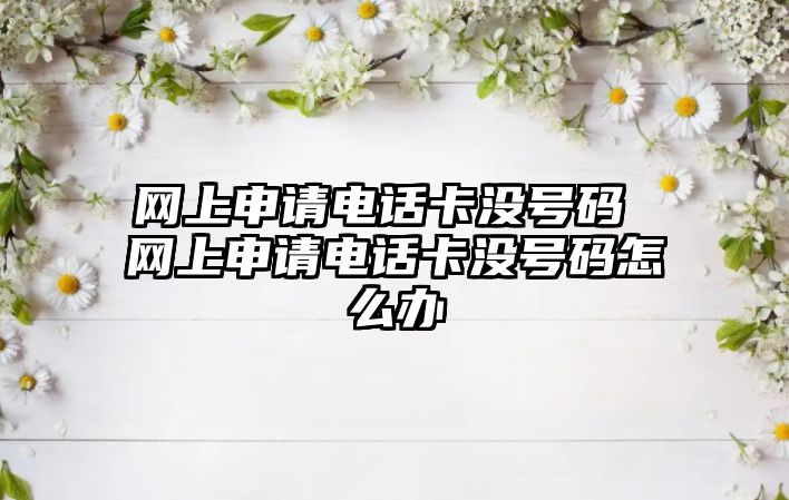 網(wǎng)上申請電話卡沒號碼 網(wǎng)上申請電話卡沒號碼怎么辦