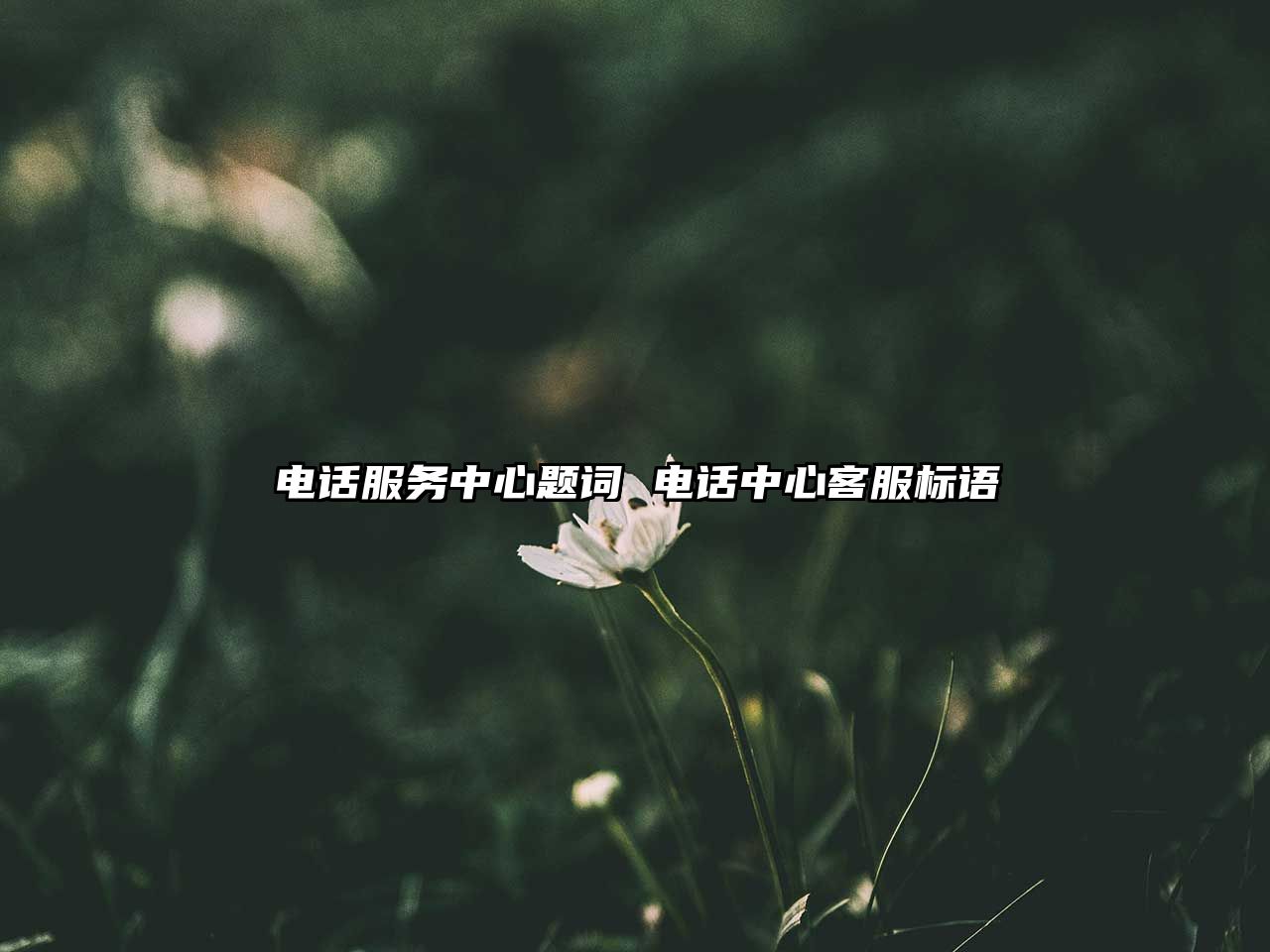 電話(huà)服務(wù)中心題詞 電話(huà)中心客服標(biāo)語(yǔ)