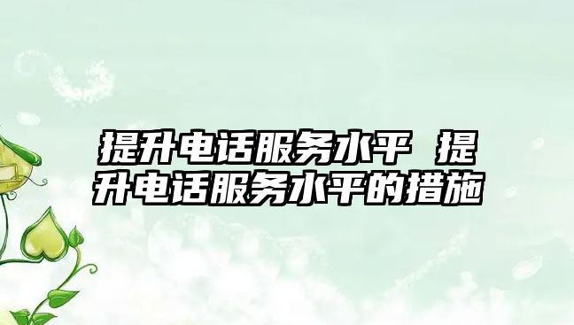 提升電話服務(wù)水平 提升電話服務(wù)水平的措施