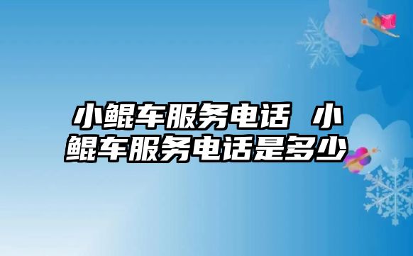 小鯤車服務(wù)電話 小鯤車服務(wù)電話是多少