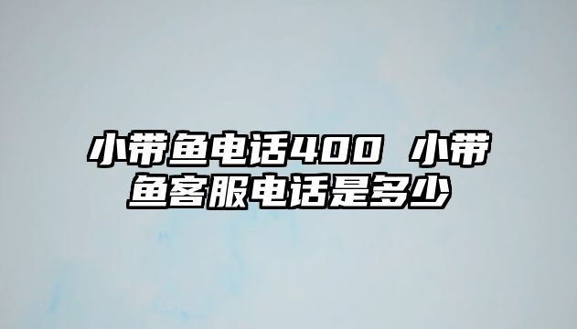 小帶魚電話400 小帶魚客服電話是多少