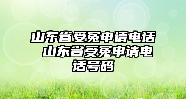 山東省受冤申請電話 山東省受冤申請電話號碼