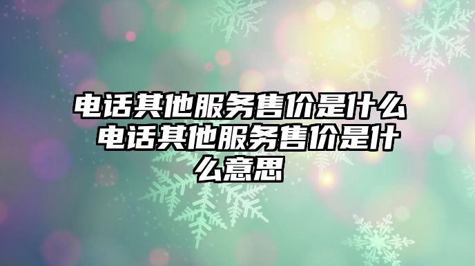 電話其他服務(wù)售價是什么 電話其他服務(wù)售價是什么意思